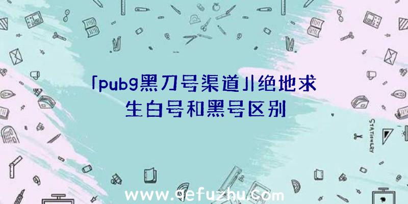 「pubg黑刀号渠道」|绝地求生白号和黑号区别